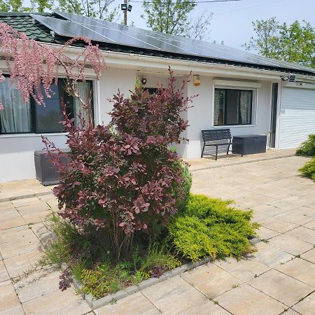 Casa Elis Piscina, Jacuzzy , Sauna, Ciubar Merei ภายนอก รูปภาพ
