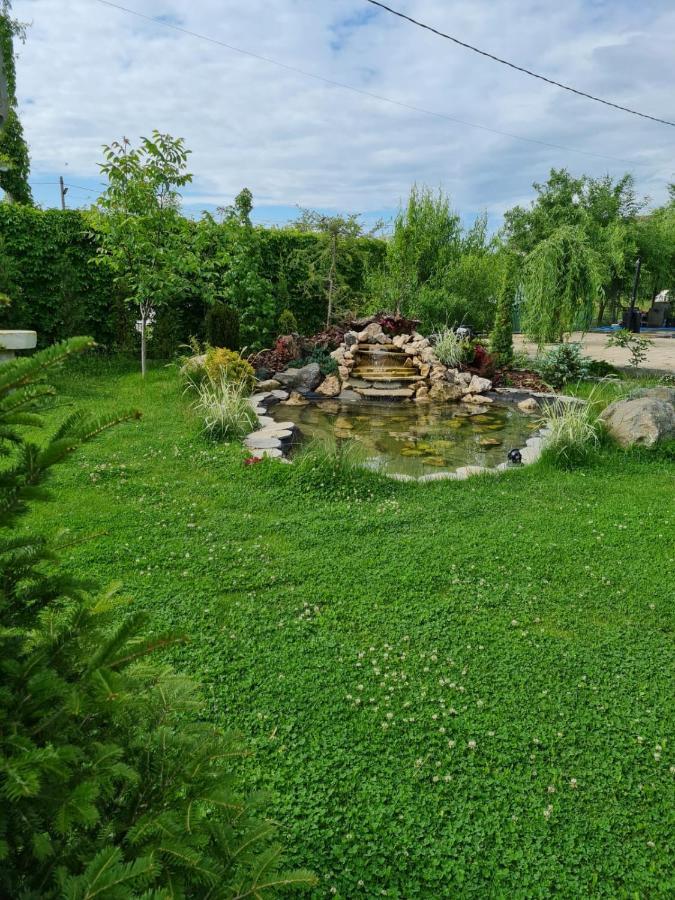 Casa Elis Piscina, Jacuzzy , Sauna, Ciubar Merei ภายนอก รูปภาพ