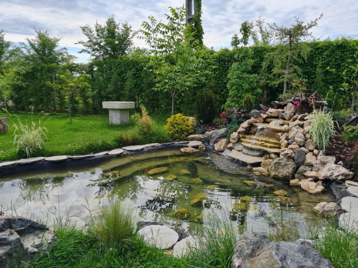 Casa Elis Piscina, Jacuzzy , Sauna, Ciubar Merei ภายนอก รูปภาพ