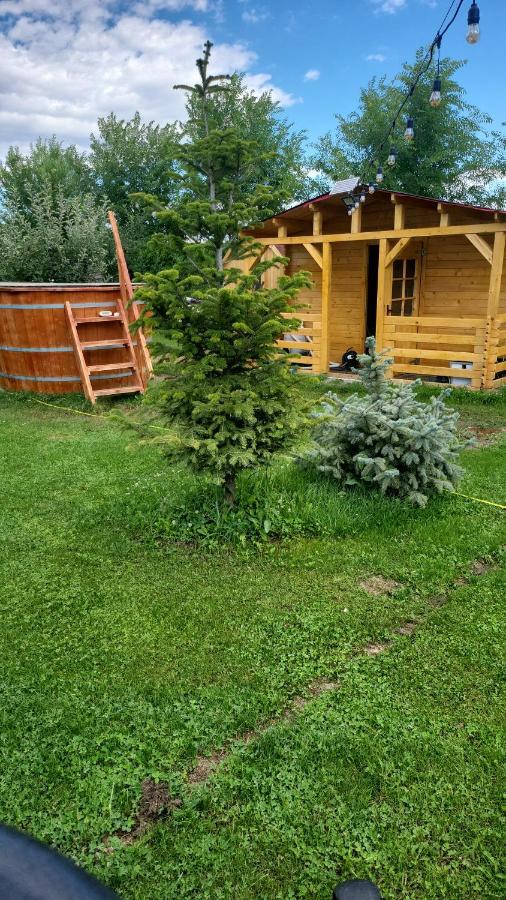 Casa Elis Piscina, Jacuzzy , Sauna, Ciubar Merei ภายนอก รูปภาพ