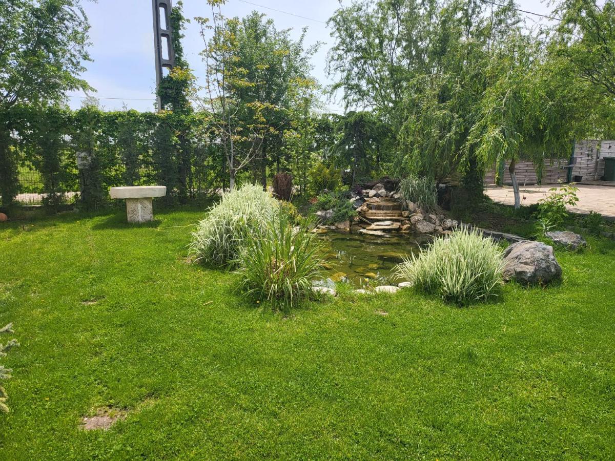 Casa Elis Piscina, Jacuzzy , Sauna, Ciubar Merei ภายนอก รูปภาพ